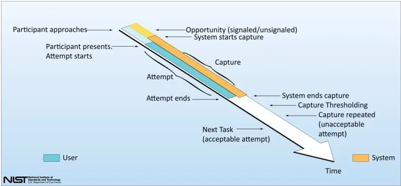 Figure 2:  User Involvement in the Biometric Process 