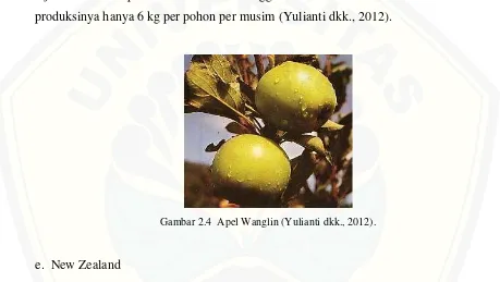 Gambar 2.4 Apel Wanglin (Yulianti dkk., 2012).