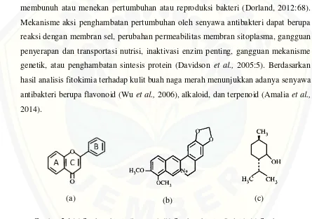 Gambar 2.4 (a) Struktur kimia flavonoid; (b) Struktur kimia alkaloid; (c) Struktur                       kimia terpenoid (Sumber: Cowan, 1999:570)  