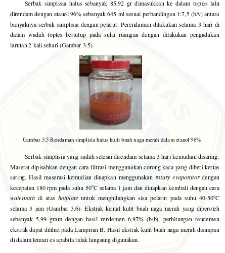Gambar 3.5 Rendaman simplisia halus kulit buah naga merah dalam etanol 96%  