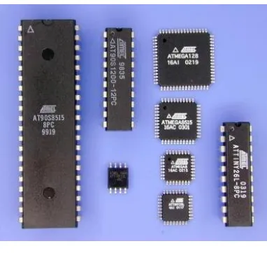 Gambar 2.1 Bentuk IC Mikrokontroler