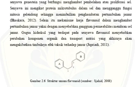 Gambar 2.6  Struktur umum flavonoid (sumber : Sjahid, 2008)