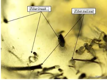 Gambar 10. Struktur mikro specimen uji tarik dengan temperatur barrel 180˚C 10 detik perbesaran 40X.