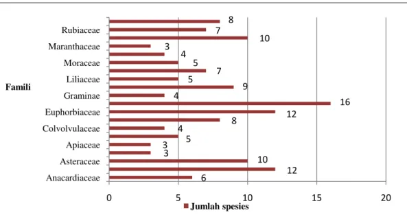 Gambar 2.  Keanekaragaman  Famili  yang  Mempunyai  Spesies  Terbanyak  Dimanfaatkan ( Diversity of  Family Which Hasthe Most Utilized Species)