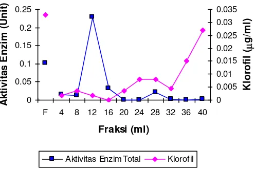 Gambar 4. Profil perubahan kadar klorofil dan aktivitas enzim eluen dari ekstrak tanaman  biduri pasca freezing   