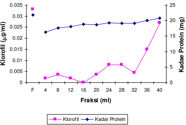 Gambar 5. Profil perubahan kadar klorofil dan kadar protein eluen protease dari ekstrak tanaman biduri pasca freezing 