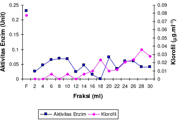 Gambar 2. Profil perubahan kadar klorofil dan aktivitas enzim eluen dari ekstrak tanaman    biduri 
