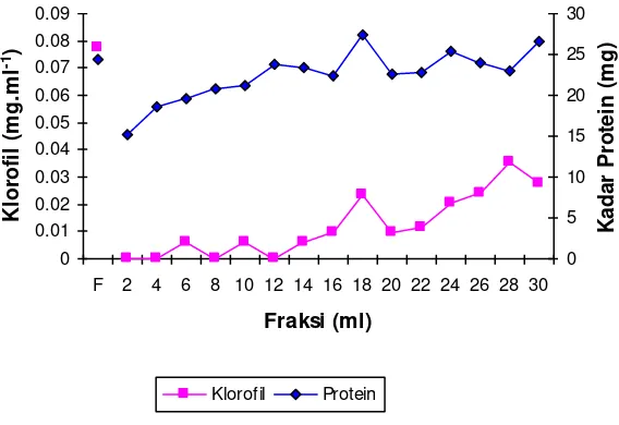 Gambar 3 menunjukkan bahwa seiring dengan penurunan kadar klorofil sampai fraksi 