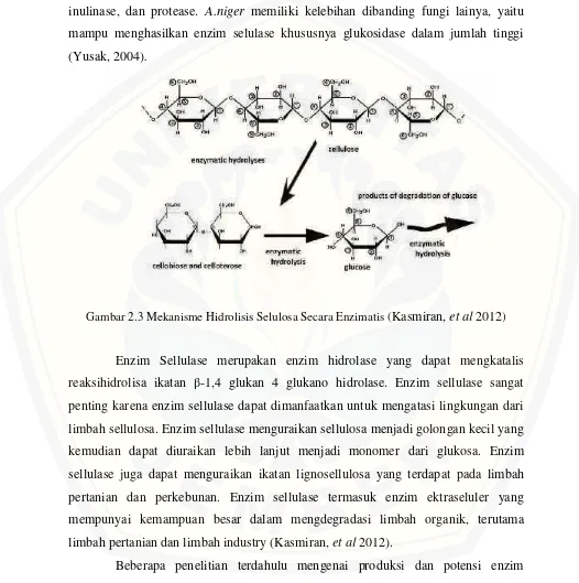 Gambar 2.3 Mekanisme Hidrolisis Selulosa Secara Enzimatis (Kasmiran, et al 2012)
