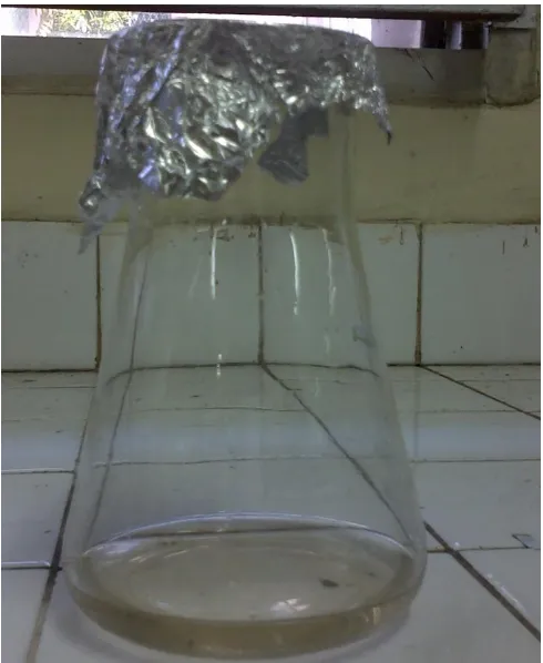 Gambar 19. Hasil pengontakkan limbah cair laboratorium dengan variasi berat adsorben dan konsetrasi aktivator 