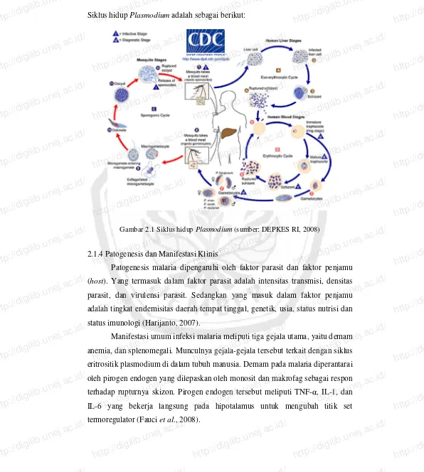 Gambar 2.1 Siklus hidup Plasmodium 2.1.4 Patogenesis dan Manifestasi Klinis Patogenesis malaria dipengaruhi oleh faktor parasit dan faktor penjamu http://digilib.unej.ac.id/(sumber: DEPKES RI, 2008) 