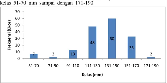Gambar  3.1  menyajikan  ukuran- ukuran-ukuran panjang total ikan julung-julung di daerah  intertidal  Teluk  Ekas