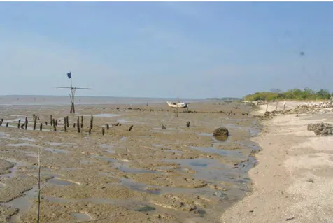 Gambar 4.1. Pantai Desa Banyuurip (Sumber: Dokumentasi pribadi, 2014) 