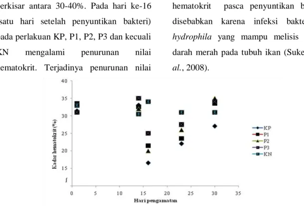 Gambar 1. Grafik fluktuasi nilai hematokrit ikan patin selama penelitian 