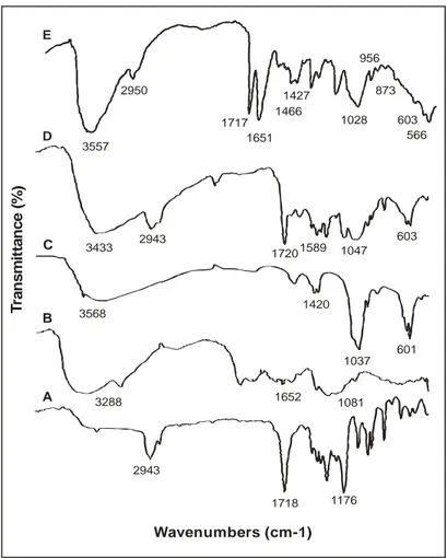 Gambar 8. Spektrum FTIR polikaprolakton (A), kitosan(B),  hidroksiapatit(C), membran komposit (D),  membran komposit setelah direndam 8 minggu  dalam SBF (E)  Wavenumbers (cm-1)Transmittance (%)ABCD343329431720 1589 1047 60335681420103760132881652108129431