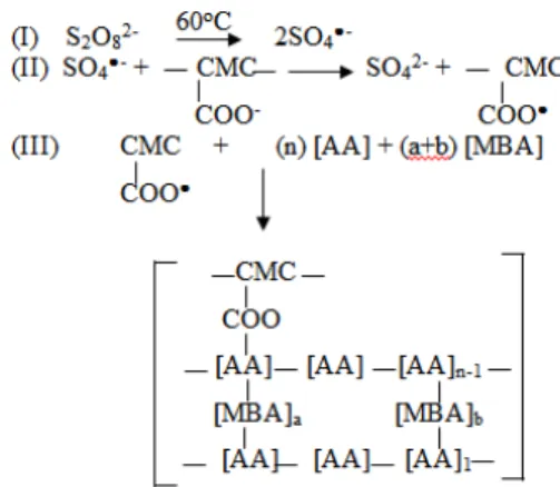 Gambar  2.  Ilustrasi  skema  reaksi  kopolimerisasi  cangkok  berikatan  silang  dari  PAA  ke  CMC 