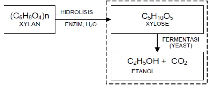 Gambar 4. Skema Reaksi Dalam Proses Hidrolisa Menggunakan Sistem Enzimatik Sumber: Samsuri, 2007 