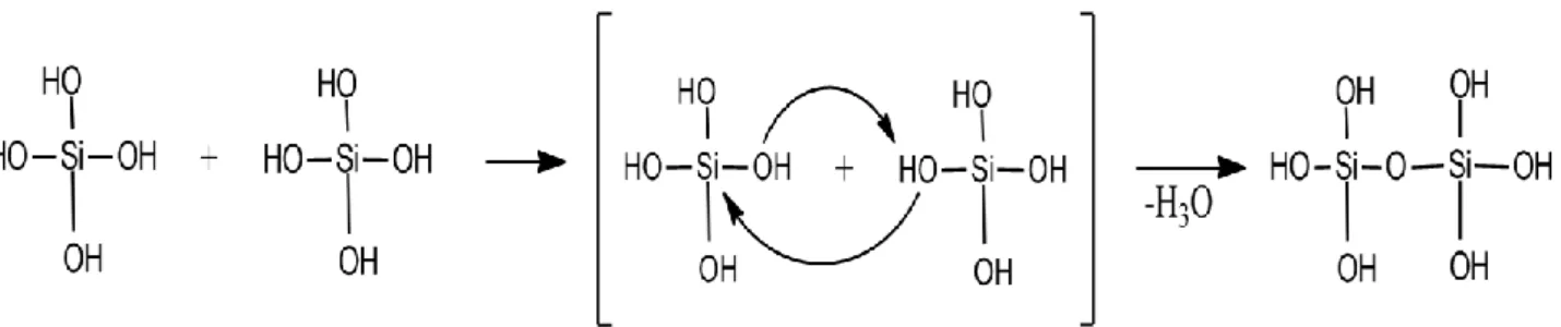 Gambar 4. Mekanisme reaksi pembentukan polimersilika  Proses  ini  terjadi  saat  proses 