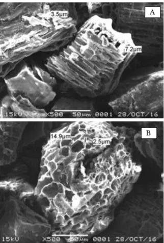 Gambar  5.  Adsorben  dari  sekam  padi  (a)  sebelum  adsorpsi (b) sesudah adsorpsi 