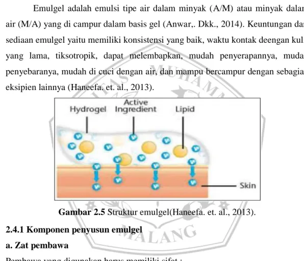 Gambar 2.5 Struktur emulgel(Haneefa. et. al., 2013).  2.4.1 Komponen penyusun emulgel 