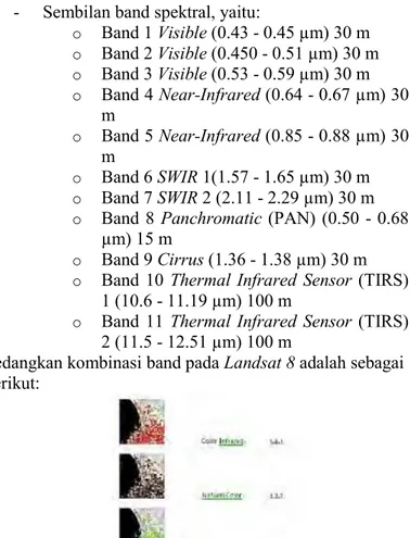 Gambar 2. 2 Kombinasi Band Landsat 8  Sumber: Purnomo, 2013 