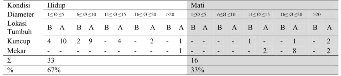Tabel 1. Data kondisi, status perkembangan dan lokasi tumbuhnya rafflesia pada tetrasigma    di Rhino Camp