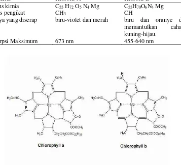 Tabel 2. Perbedaan klorofil a dan klorofil b 