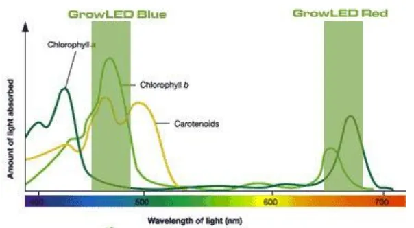 Gambar 2.2 Perbandingan Spektrum Cahaya LED Penumbuh Tanaman