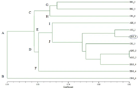 Gambar  7.  Dendrogram  Similaritas  (Fenetik)  Karakter  Genetis  Nyamuk  dari  Kota  Pekalongan  dengan Koefisien SM