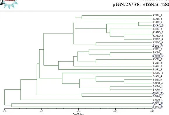 Gambar 9. Dendrogram Similaritas (Fenetik) Karakter Genetis Nyamuk dari Kota dan Kabupaten  Pekalongan dengan Koefisien SM
