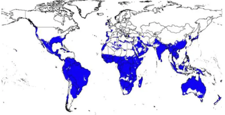 Gambar 4. Daerah geografis penyebaran Cx. quinquefascatus (area berwarna biru) 3 