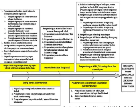 Gambar 1. Roadmap Bidang Ilmi MIPA dan Teknik 