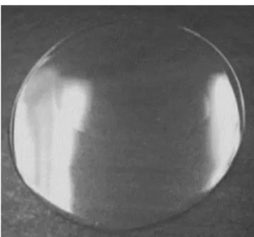 Gambar 1. Edible Film (Rojas-Graü, 