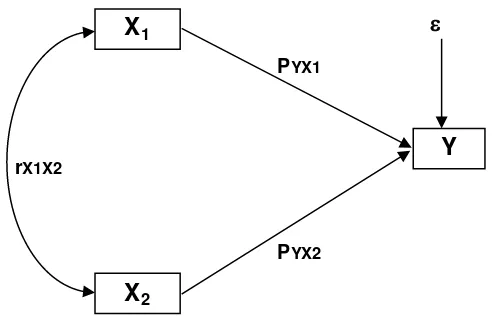 Gambar 3.2 Diagram Jalur Paradigma Penelitian 