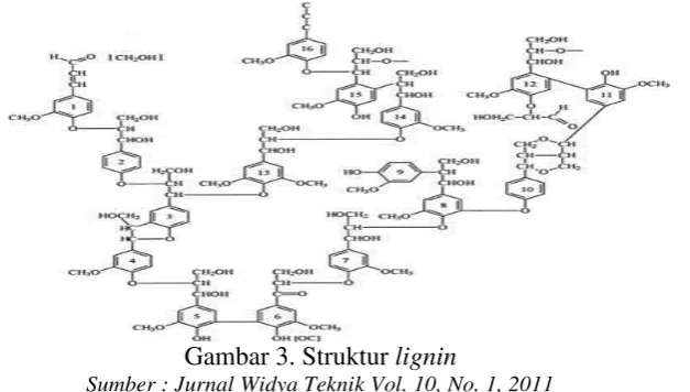 Gambar 3. Struktur lignin 