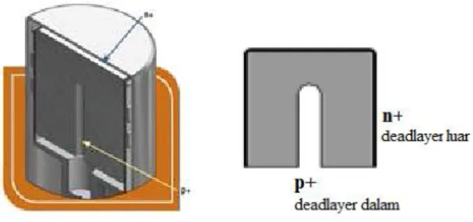Gambar 1. Kristal detektor Germanium [10]