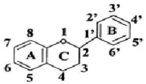 Gambar 6. Struktur Flavonoida