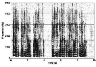 Gambar 2.13 Narrowband Spectogram 