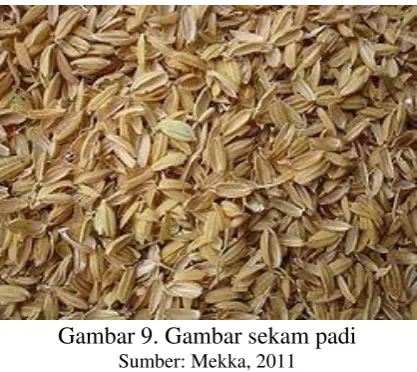 Gambar 9. Gambar sekam padi 