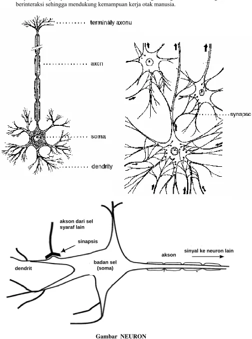 Gambar  NEURON 