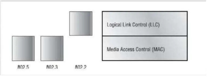 Gambar di bawah ini memperlihatkan layer Data Link dengan spesifikasi Ethernet dan IEEE