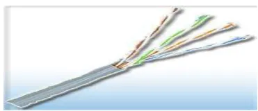 Gambar 2.16 Kabel twisted pair 