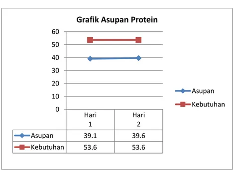 Gambar 4.2 Grafik Asupan Protein Tn. JS 