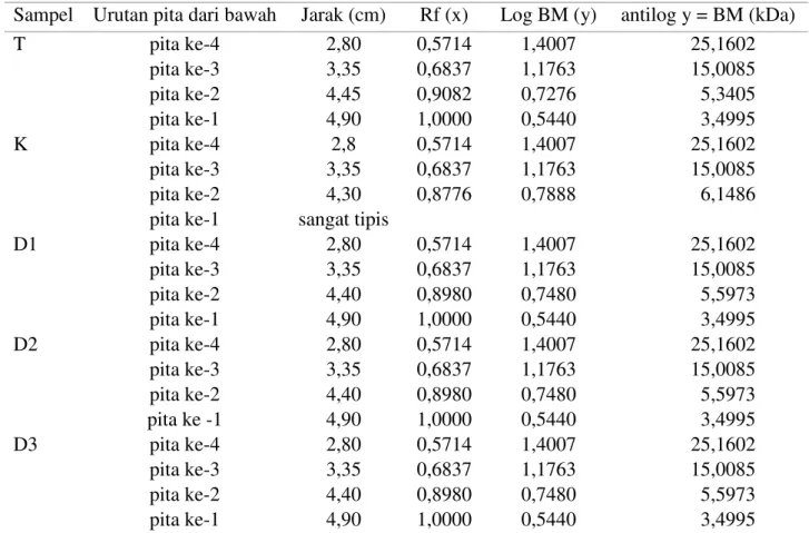 Tabel 4. Nilai BM pada Sampel T, K, D1, D2 dan D3 