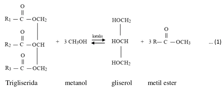 Gambar 6 Reaksi trigliserida dengan metanol 