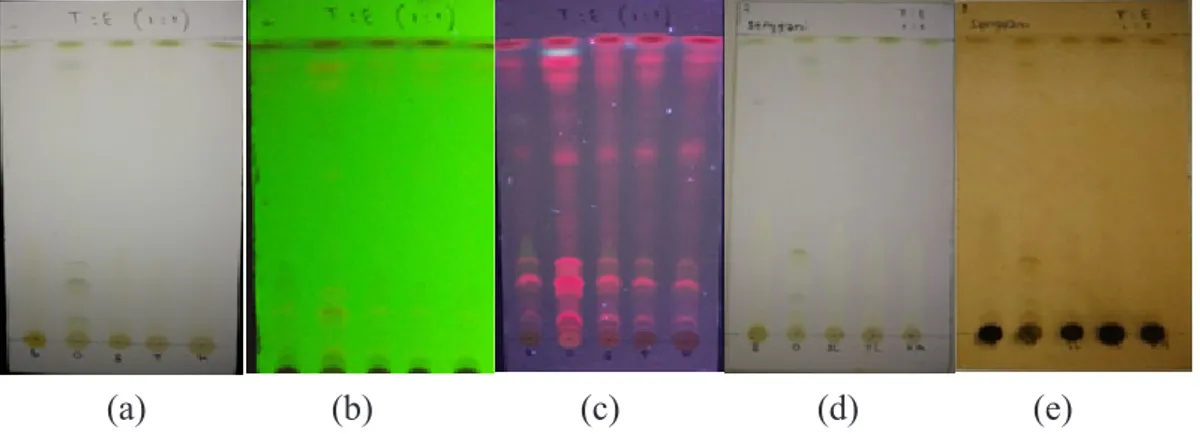 Gambar 3 memperlihatkan adanya  perbedaan  perolehan persentase aktivitas antioksidan dari  kelima jenis sampel ekstrak daun senggani