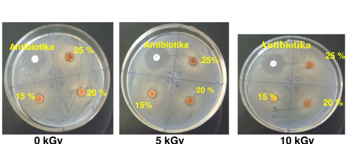 Gambar 1. Zona hambat ekstrak terhadap Jahe Merah (Zingiber officinale Linn.var.  rubrum ) terhadap Staphylococcus aureus dengan metode kertas cakram  Tabel  2,  Gambar  2  dan  Tabel  3,  Gambar  3  menunjukkan  hasil  uji  aktivitas  anti bakteri  terhad