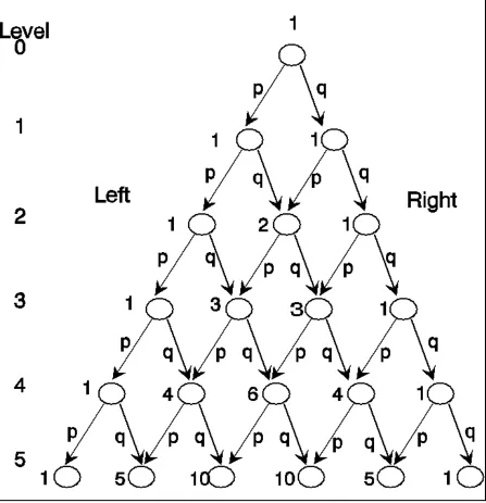Figure 1  The Binomial Graph With Probabilities