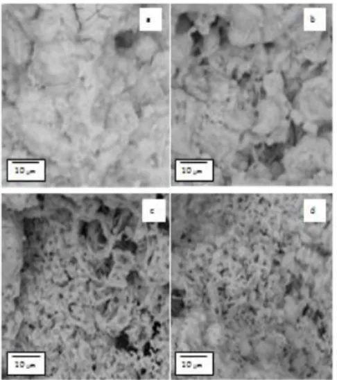 Gambar  4.  Hasil  analisa  SEM  pada  suhu 700, 800, 900, 1000°C. 