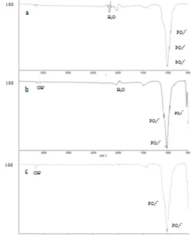 Gambar  3.3  menunjukkan  spektrum  FTIR  hasil  kalsinasi  hidroksiapatit  dengan  variasi suhu reaksi 70 o C,80 o C dan 90 o C pada  kecepatan pengadukan 300 rpm